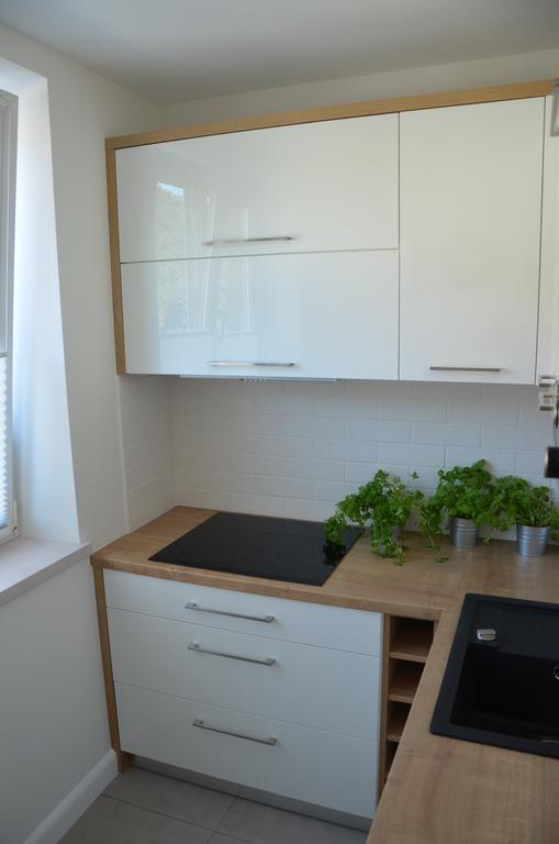 Apartament Na Starowce Grobla I Γκντανσκ Δωμάτιο φωτογραφία
